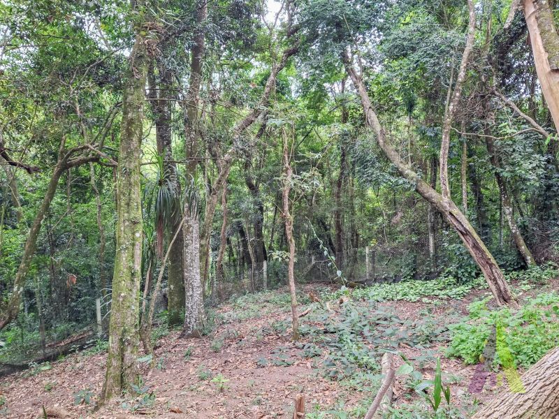 Sítio em Sorocamirim (Canguera), SÃO ROQUE - Foto 64