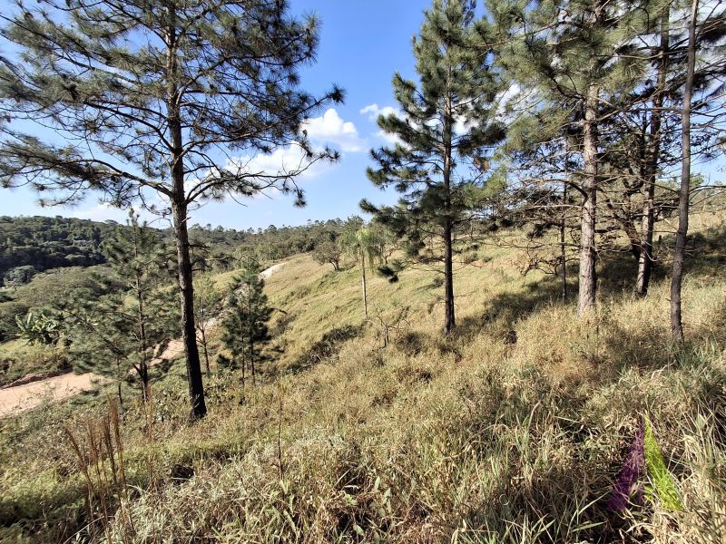 Terreno em Caete (Vila Lino), SÃO ROQUE - Terreno próximo da Raposo Tavares em São Roque! - Foto 11