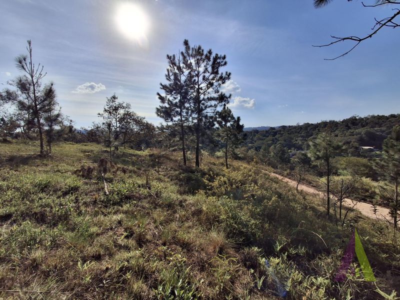 Terreno em Caete (Vila Lino), SÃO ROQUE - Terreno próximo da Raposo Tavares em São Roque! - Foto 14