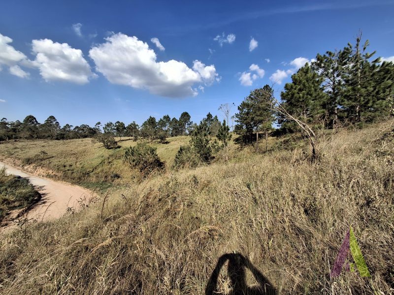 Terreno em Caete (Vila Lino), SÃO ROQUE - Terreno próximo da Raposo Tavares em São Roque! - Foto 20