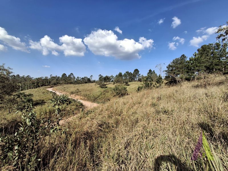 Terreno em Caete (Vila Lino), SÃO ROQUE - Terreno próximo da Raposo Tavares em São Roque! - Foto 22