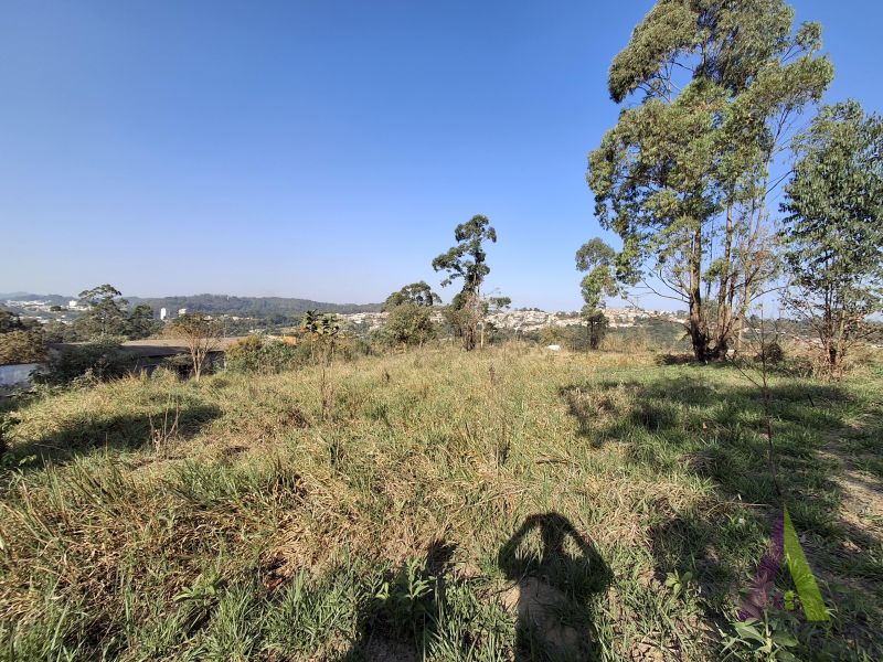 Terreno em Jardim Vitória, MAIRINQUE - Foto 4