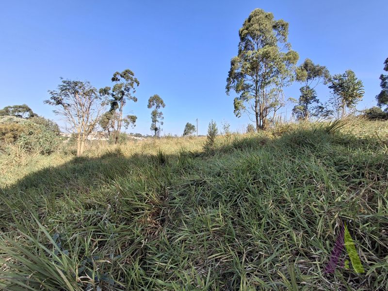 Terreno em Jardim Vitória, MAIRINQUE - Foto 8