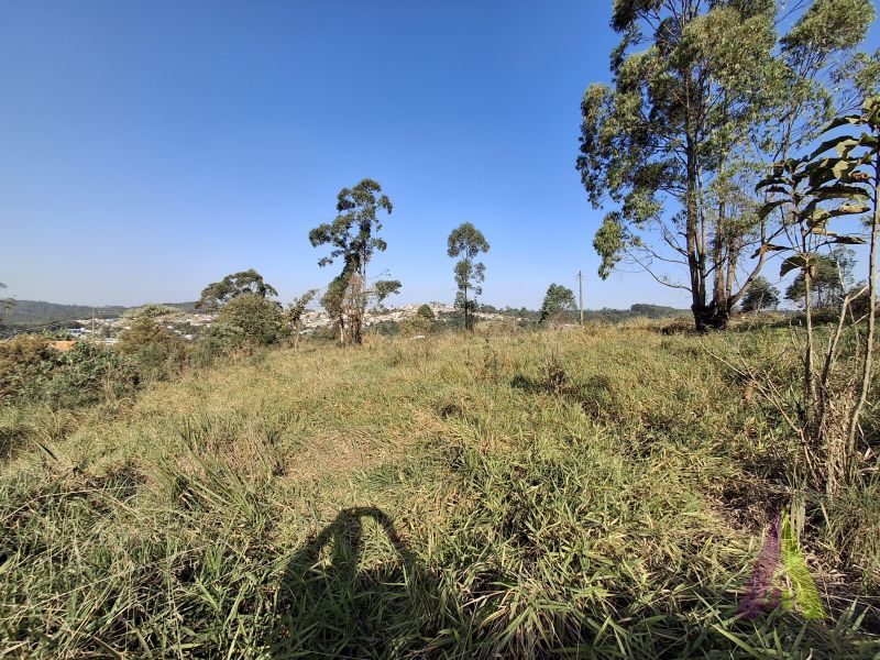 Terreno em Jardim Vitória, MAIRINQUE - Foto 10
