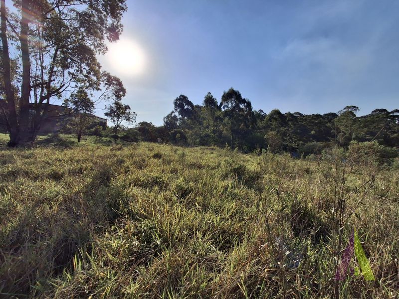 Terreno em Jardim Vitória, MAIRINQUE - Foto 12