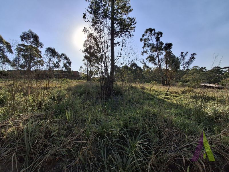 Terreno em Jardim Vitória, MAIRINQUE - Foto 15