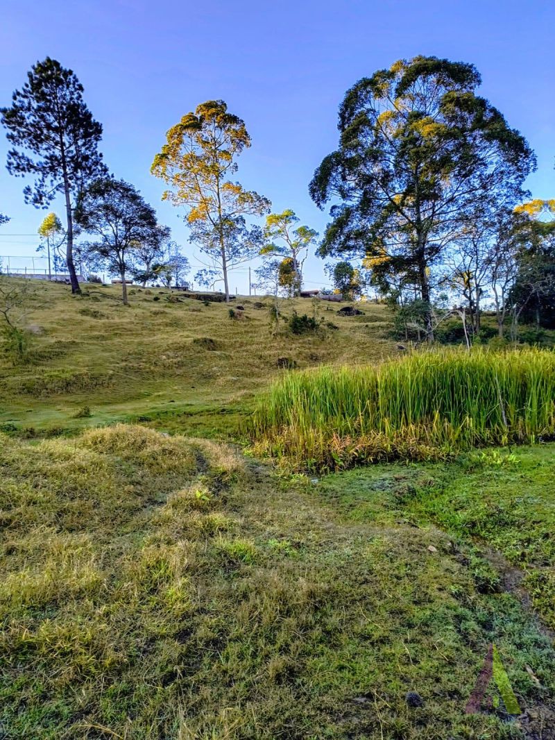 Terreno em Alpes Paulista (Mailasqui), SÃO ROQUE - Terreno em São Roque! - Foto 4