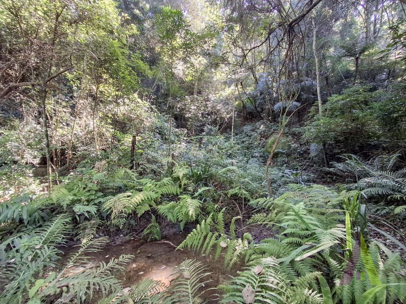 Sítio em Vila Darcy Penteado (Mailasqui), SÃO ROQUE - Foto 174