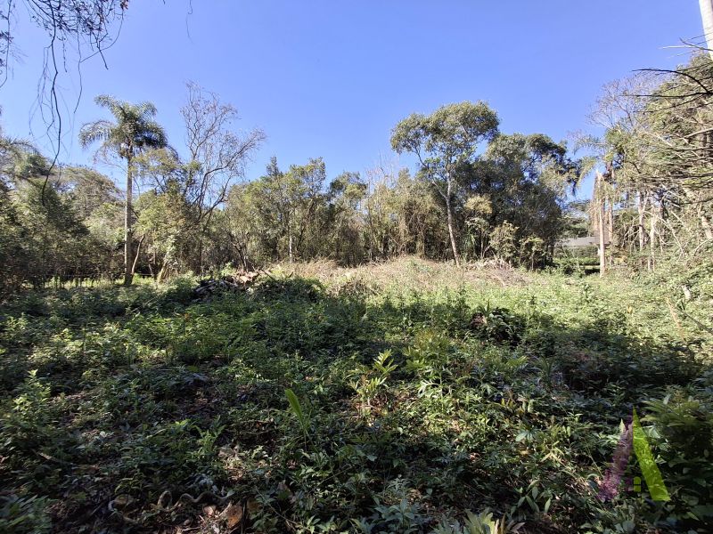 Terreno em Cond Patrimônio do Carmo (Canguera), SÃO ROQUE - Foto 6