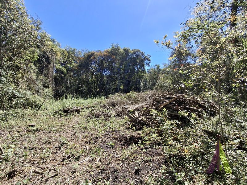 Terreno em Cond Patrimônio do Carmo (Canguera), SÃO ROQUE - Foto 22