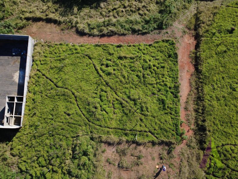 Terreno em Chácaras Jardim Brasília, MAIRINQUE - Foto 4