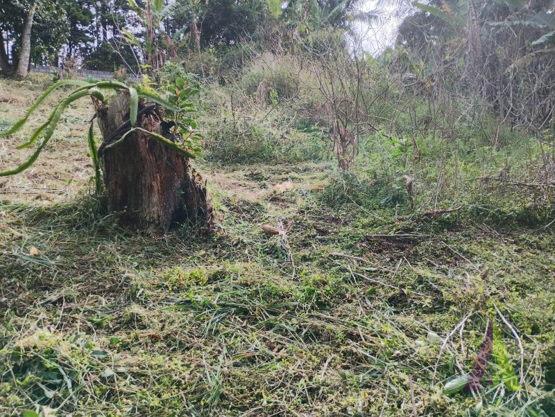 Terreno em Alpes Paulista (Mailasqui), SÃO ROQUE - Terreno de 3390 m² próximo da estrada da aeronáutica em São Roque! - Foto 4