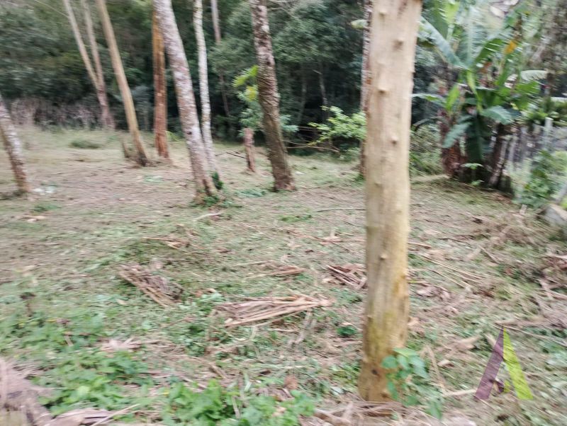 Terreno em Alpes Paulista (Mailasqui), SÃO ROQUE - Terreno de 3390 m² próximo da estrada da aeronáutica em São Roque! - Foto 29