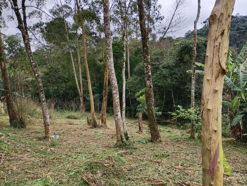 Terreno em Alpes Paulista (Mailasqui), SÃO ROQUE - Terreno de 3390 m² próximo da estrada da aeronáutica em São Roque! - Foto 31