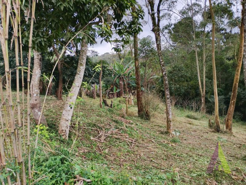 Terreno em Alpes Paulista (Mailasqui), SÃO ROQUE - Terreno de 3390 m² próximo da estrada da aeronáutica em São Roque! - Foto 35