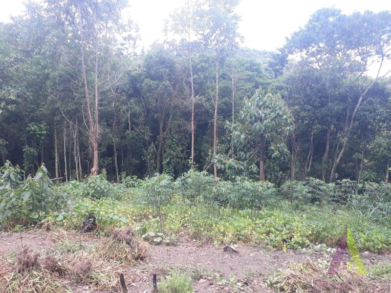 Terreno em Alpes Paulista (Mailasqui), SÃO ROQUE - Terreno de 3390 m² próximo da estrada da aeronáutica em São Roque! - Foto 41