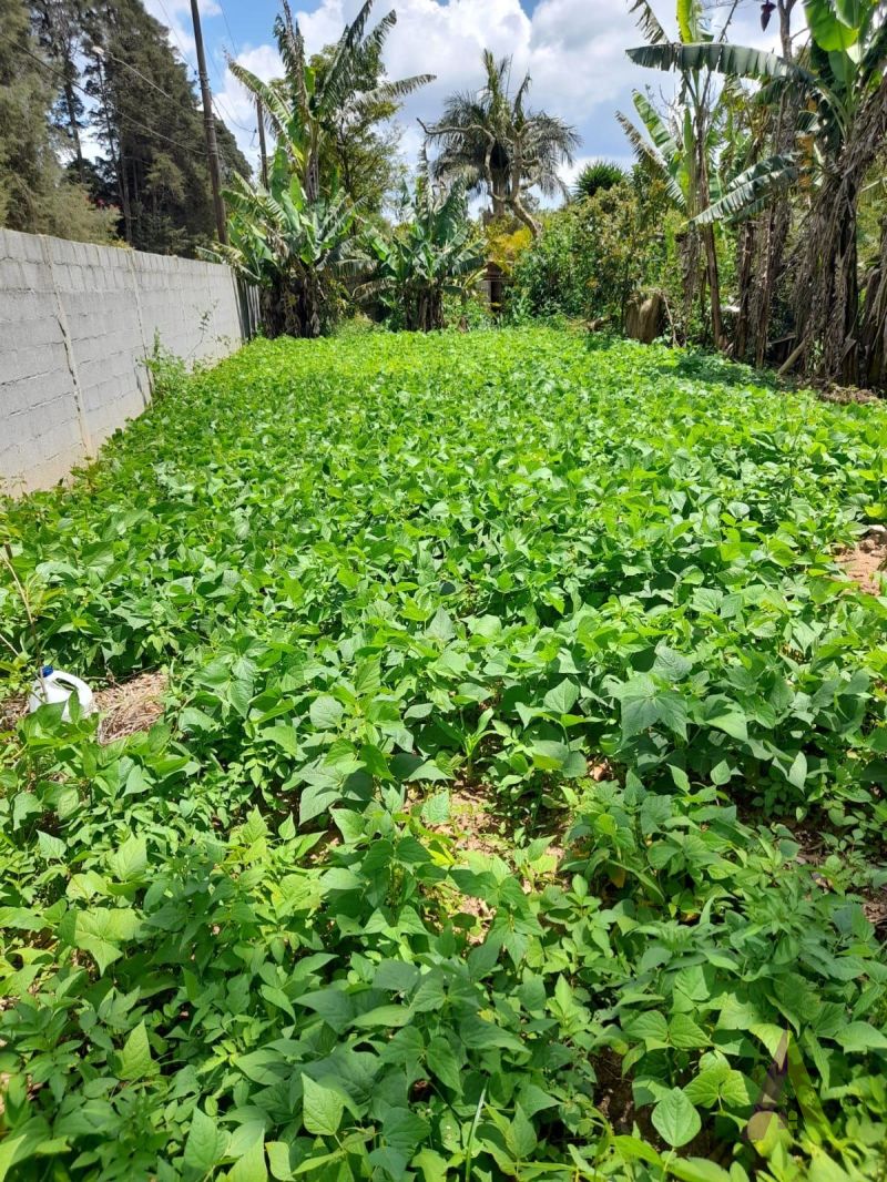 Terreno em Alpes Paulista (Mailasqui), SÃO ROQUE - Terreno de 1560 m² próximo da estrada da aeronáutica em São Roque! - Foto 6