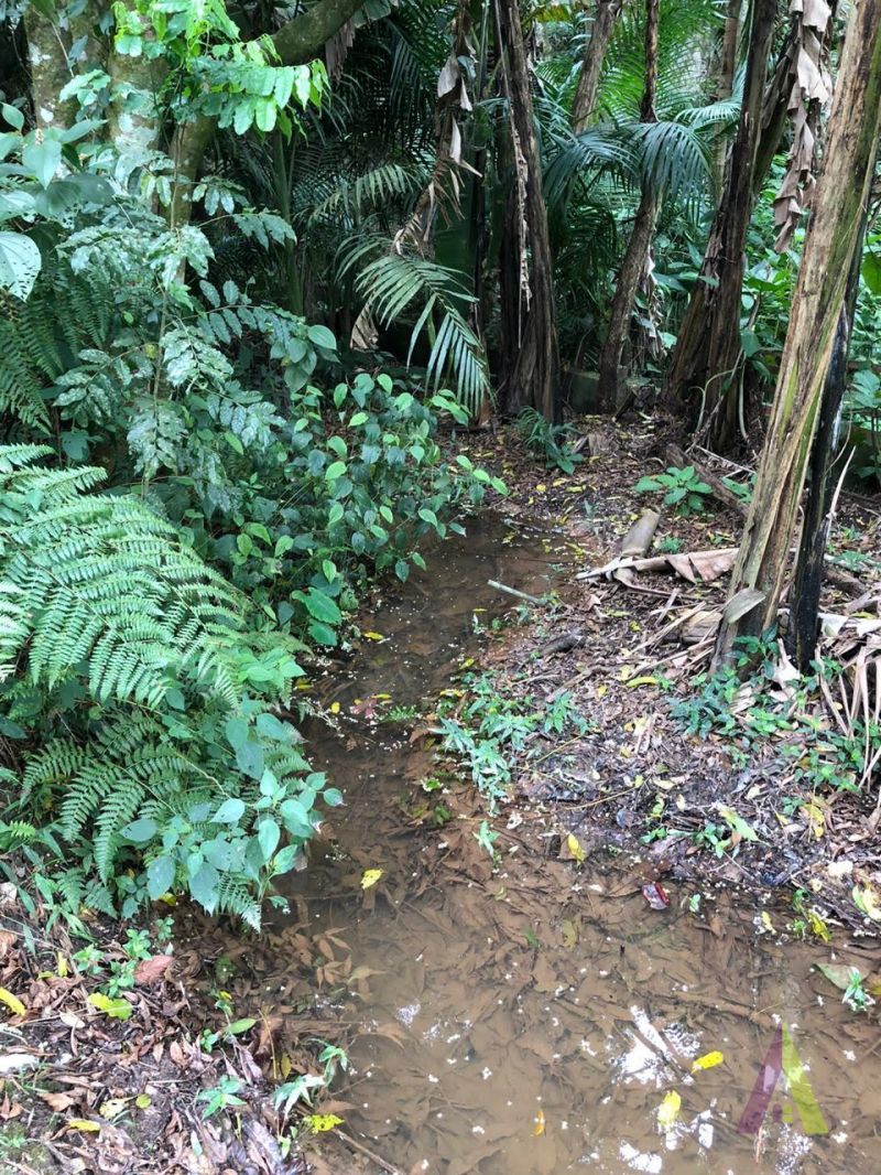 Terreno em Alpes Paulista (Mailasqui), SÃO ROQUE - Terreno de 1560 m² próximo da estrada da aeronáutica em São Roque! - Foto 19