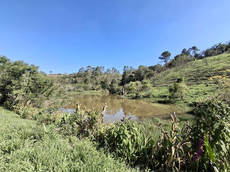Sítio em Bairro do Rosário (Mailasqui), SÃO ROQUE - Foto 68