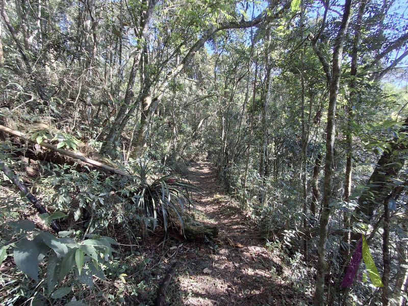 Sítio em Bairro do Rosário (Mailasqui), SÃO ROQUE - Foto 76