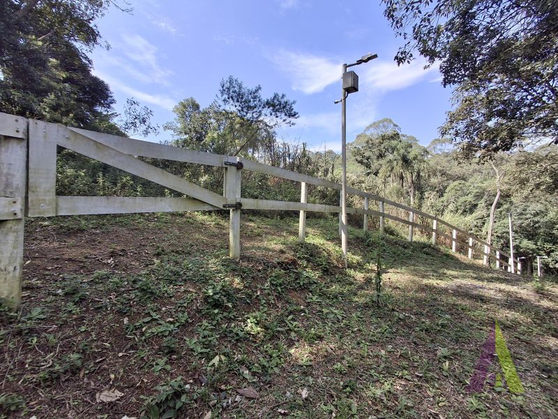 Sítio em Mailasqui, SÃO ROQUE - Haras estruturado com 6 cocheiras e 5 Baias americanas em São Roque! - Foto 60