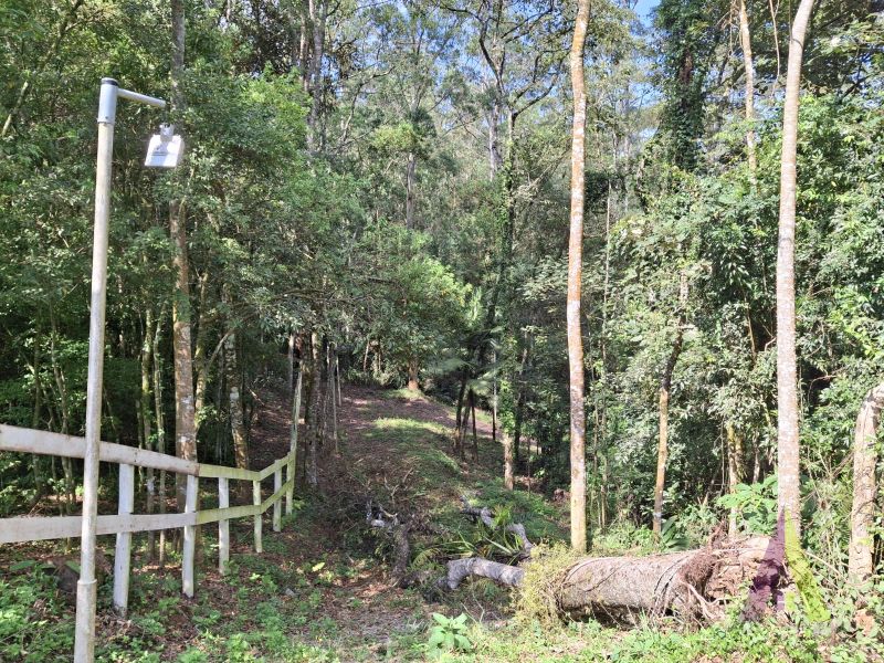 Sítio em Mailasqui, SÃO ROQUE - Haras estruturado com 6 cocheiras e 5 Baias americanas em São Roque! - Foto 68