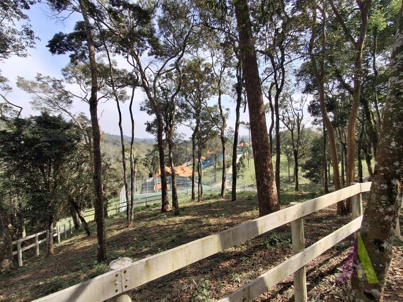 Sítio em Mailasqui, SÃO ROQUE - Haras estruturado com 6 cocheiras e 5 Baias americanas em São Roque! - Foto 74