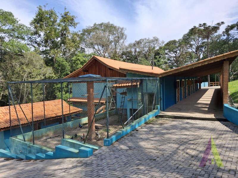 Sítio em Mailasqui, SÃO ROQUE - Haras estruturado com 6 cocheiras e 5 Baias americanas em São Roque! - Foto 88