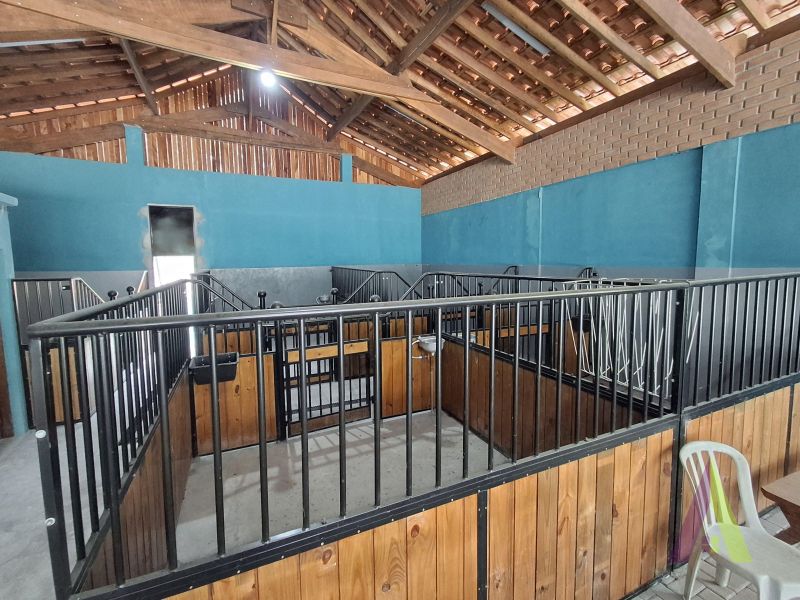 Sítio em Mailasqui, SÃO ROQUE - Haras estruturado com 6 cocheiras e 5 Baias americanas em São Roque! - Foto 208