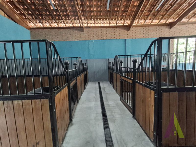 Sítio em Mailasqui, SÃO ROQUE - Haras estruturado com 6 cocheiras e 5 Baias americanas em São Roque! - Foto 218