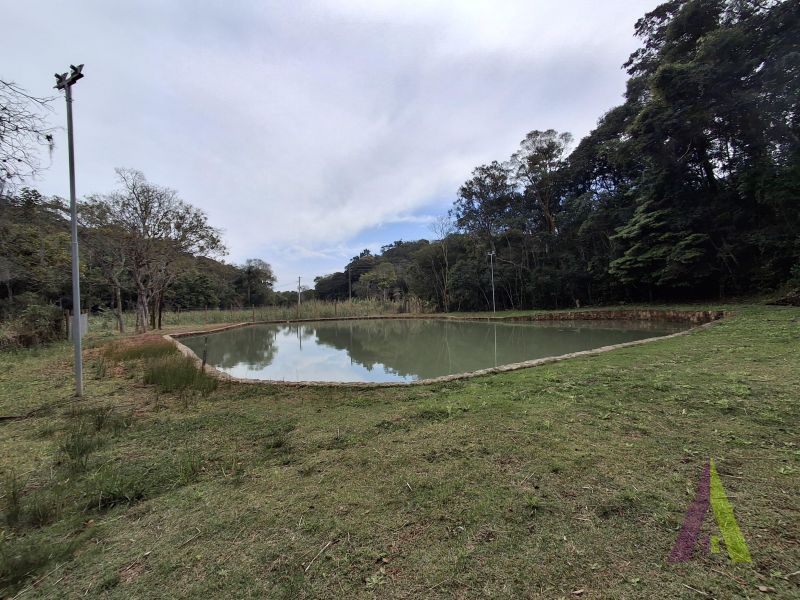 Sítio em Mailasqui, SÃO ROQUE - Haras estruturado com 6 cocheiras e 5 Baias americanas em São Roque! - Foto 222