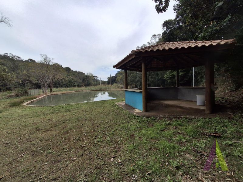 Sítio em Mailasqui, SÃO ROQUE - Haras estruturado com 6 cocheiras e 5 Baias americanas em São Roque! - Foto 224