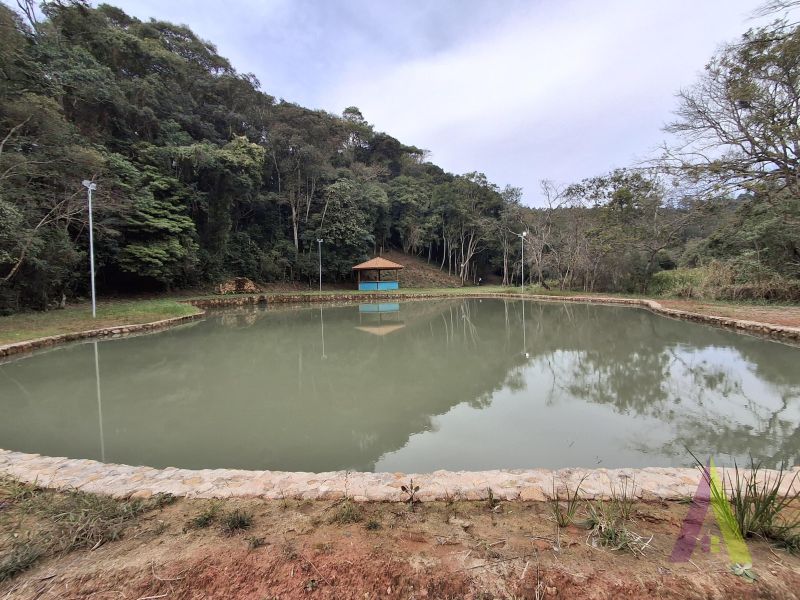 Sítio em Mailasqui, SÃO ROQUE - Haras estruturado com 6 cocheiras e 5 Baias americanas em São Roque! - Foto 230