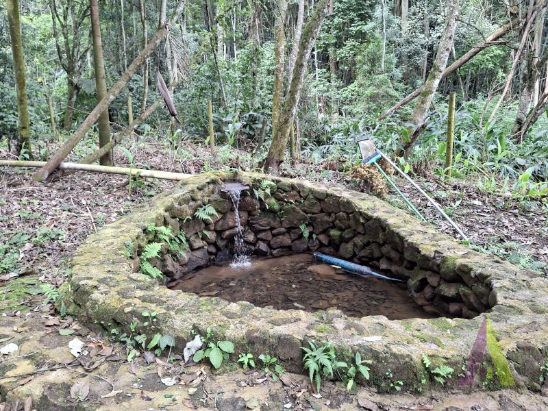 Sítio em Mailasqui, SÃO ROQUE - Haras estruturado com 6 cocheiras e 5 Baias americanas em São Roque! - Foto 236