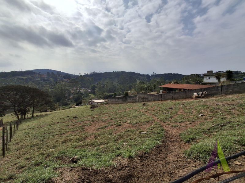Terreno em Alpes Paulista (Mailasqui), SÃO ROQUE - Foto 14