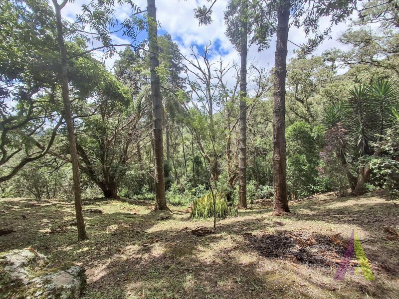 Sítio em Alto Da Serra (Mailasqui), SÃO ROQUE - Foto 68
