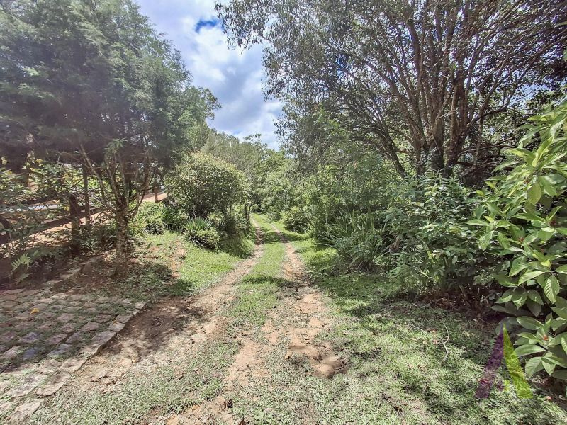 Sítio em Alto Da Serra (Mailasqui), SÃO ROQUE - Foto 78