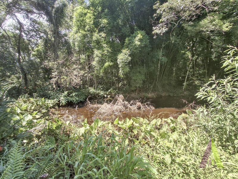 Sítio em Alto Da Serra (Mailasqui), SÃO ROQUE - Foto 86