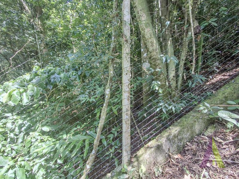 Sítio em Alto Da Serra (Mailasqui), SÃO ROQUE - Foto 92