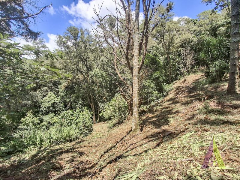 Sítio em Alto Da Serra (Mailasqui), SÃO ROQUE - Foto 94