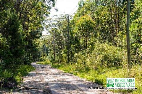 TERRENO - Túnel Verde (Distrito) - Balneario Pinhal