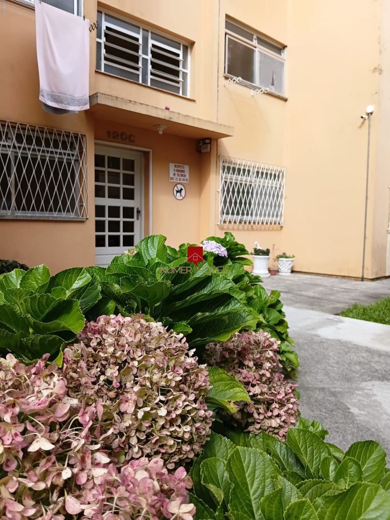 ALUGO APARTAMENTO NA ZONA NORTE