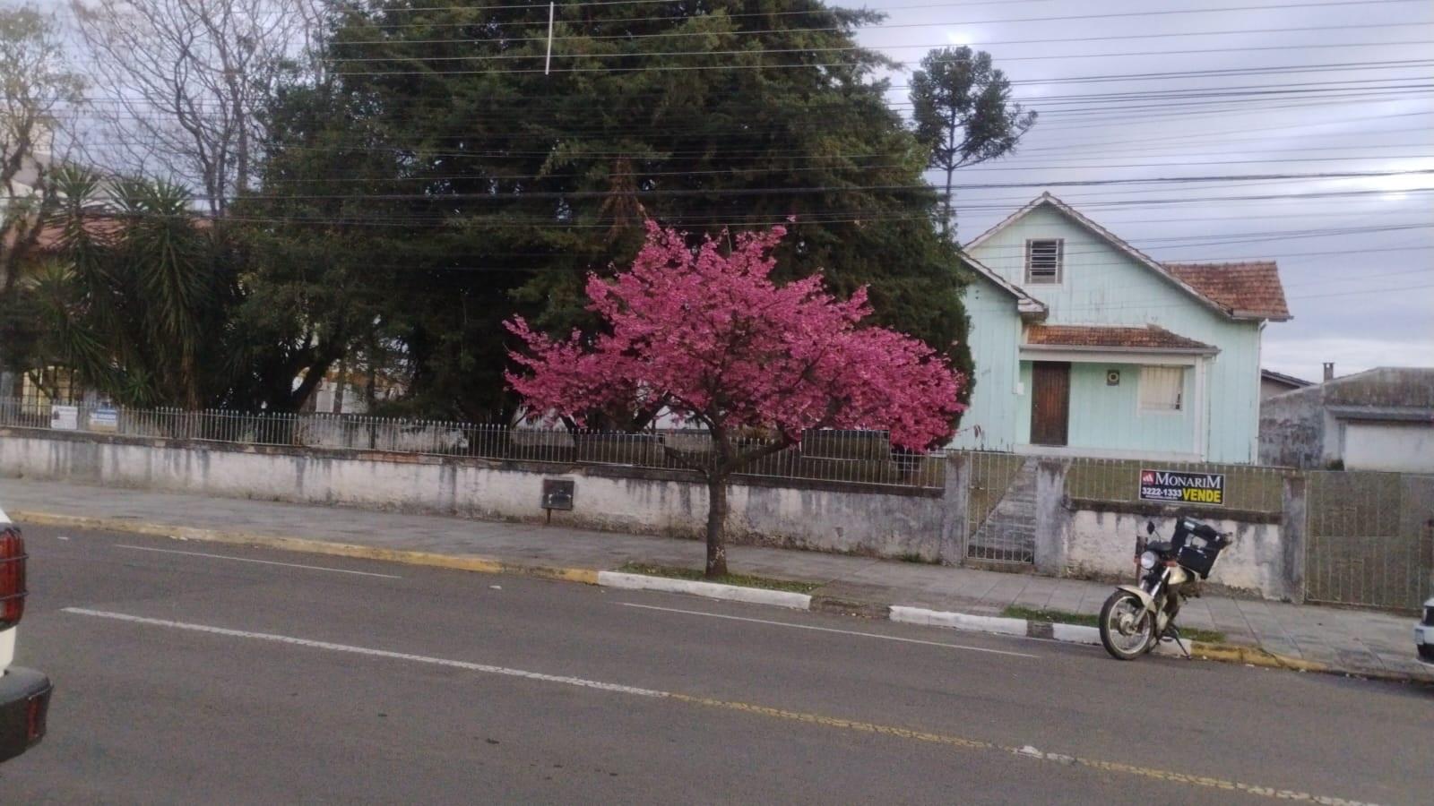 TERRENO URBANO - Universitário - Lages