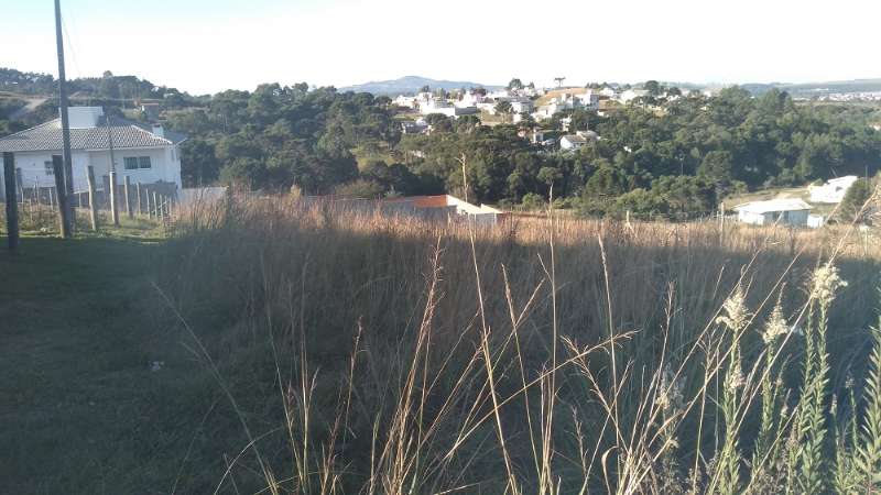 TERRENO URBANO - Vila Maria - Lages