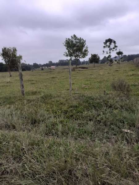 TERRENO URBANO - Santa Catarina - Lages
