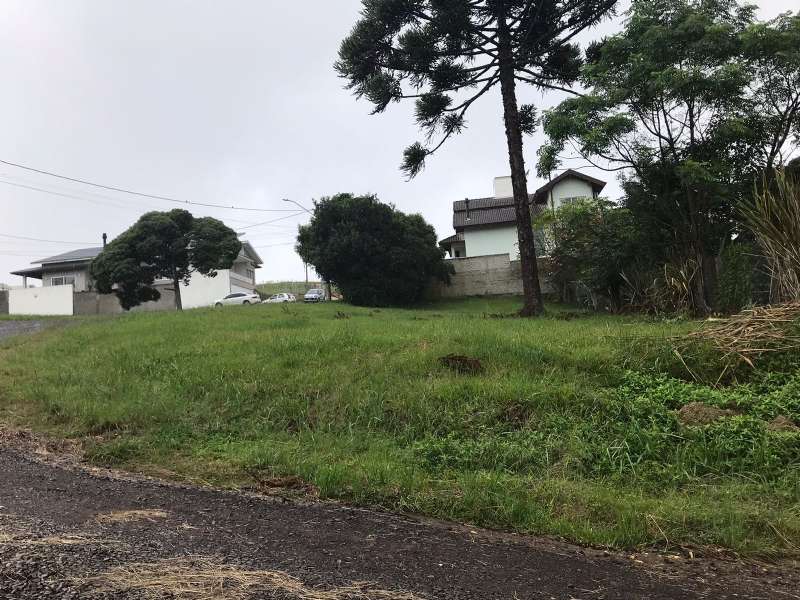 TERRENO URBANO - Vila Maria - Lages