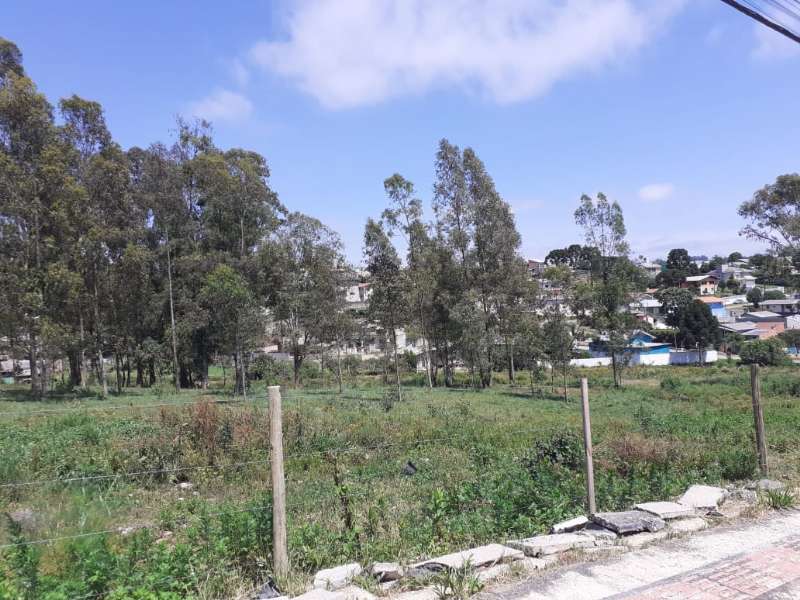 TERRENO URBANO - Copacabana - Lages