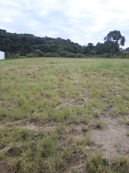 TERRENO URBANO - Passo Fundo - Lages