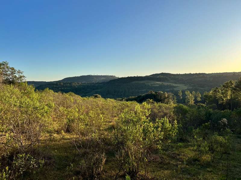 TERRENO RURAL - Centro - Sao Jose Do Cerrito