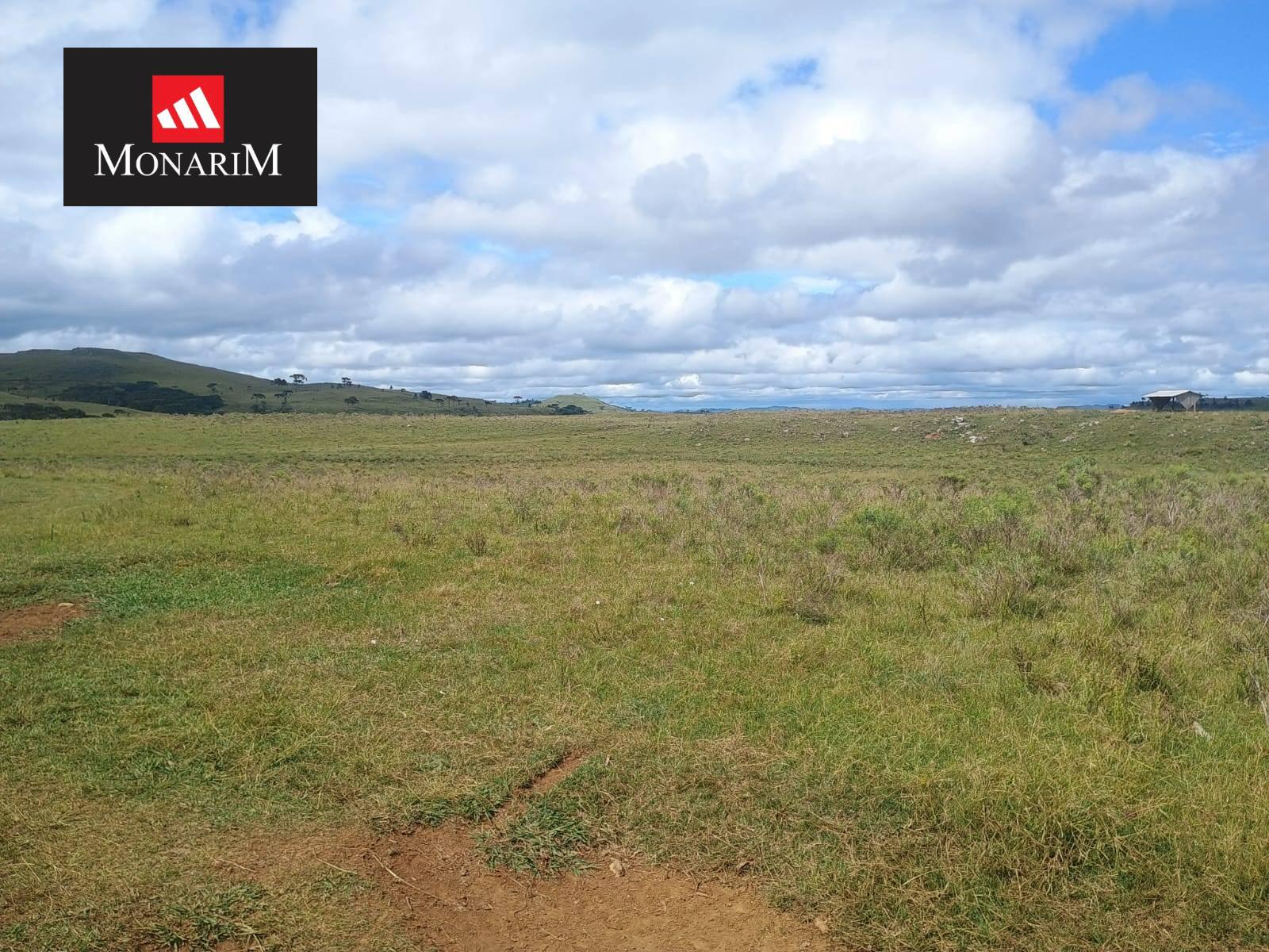 TERRENO RURAL - Centro - Lages